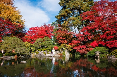 もみじ公園